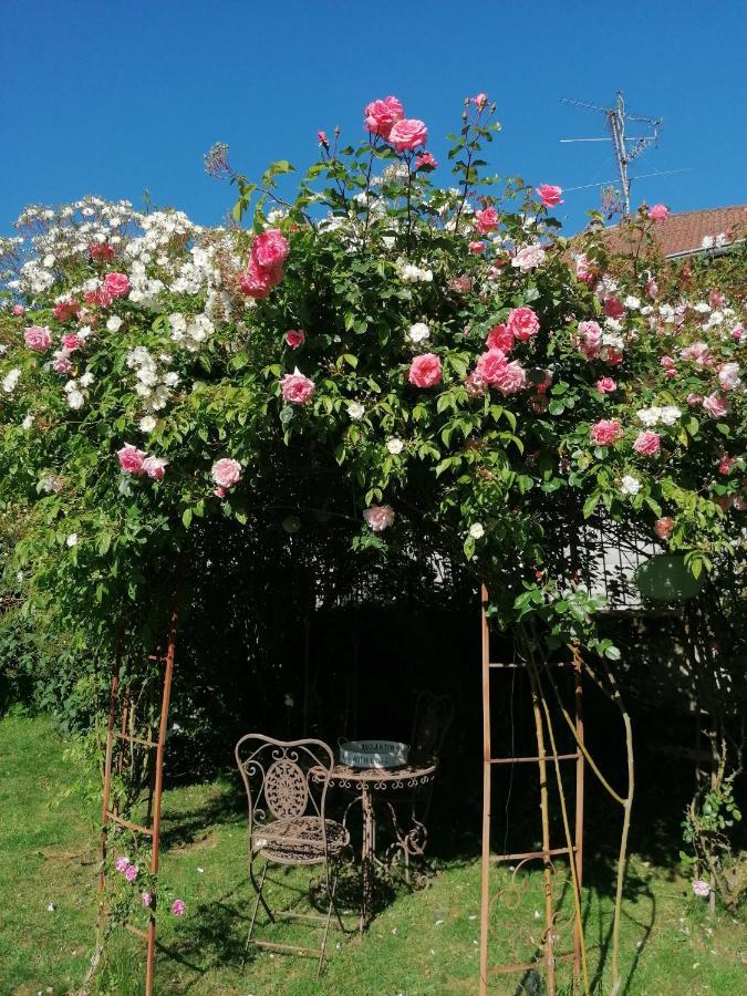 Chambre d'hôtes Les Magnolias Pontpierre Exterior foto